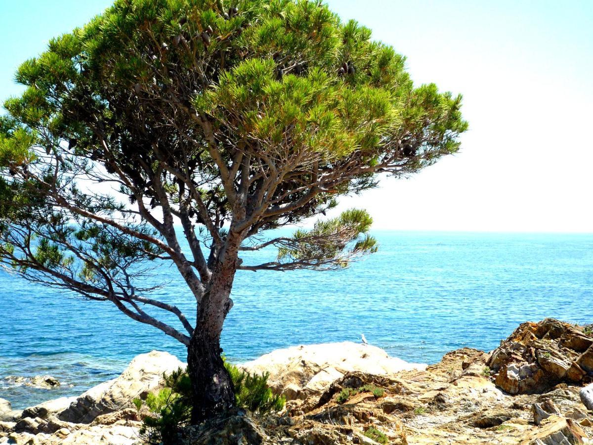 Caseta De Pescadors A Les Cales De Colera, 2ª Linea De Mar Luaran gambar